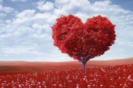 Looking for popular girly quotes and sayings? 75 Best Proposal Quotes For Him Free Guide To Make Images Of Love Quotes For Him Sheroes