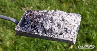 Asche Muss Nicht Zwangslaufig Entsorgt Werden Die Richtige Holzasche Kannst Du Sinnvoll Im Haushalt Weiter Verwenden Und So Manches Hausmittel Haushalt Asche