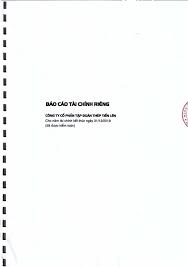 CÔNG TY CỔ PHẦN TẬP ĐOÀN THÉP TIẾN LÊN Cho năm tài chính ...