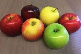 We did not find results for: 10 Jenis Apel Paling Populer Enak Dan Bergizi Tinggi