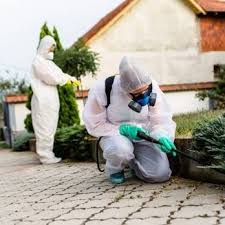 Can termites live above ground too? A Step Above Pest Control 29 Photos 29 Reviews Pest Control 1306 12th Ave Los Angeles Ca Phone Number