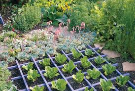 You can plant various kinds of vegetables such as cabbage, spinach and carrots. Eat Your Yard How To Design An Edible Landscape Nature Ridge Homes