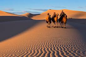 One of the most spectacular points along the way was khongorin sand dunes prices tended to vary depending on how many people were in the van and the quality of the gers you stayed in. Interesting Facts About Mongolian Camels