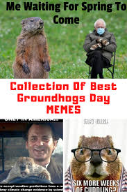 Collection Of Groundhogs Day Memes 2021 Guide For Moms See more ideas about png, mood boards, niche. collection of groundhogs day memes 2021