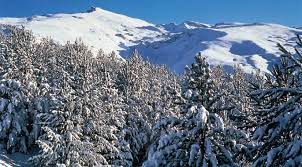 El Giraldillo - Excursión a Sierra Nevada