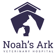 24cm x 12cm x12cm) houses 60 animals, noah and his wife, a gangplank and a descriptive letter, explaining which wood each animal is made from. Noah S Ark Veterinary Hospital Williamsburg Veterinarians