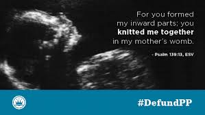 We are fearfully and wonderfully made. Erlc On Twitter For You Formed My Inward Parts You Knitted Me Together In My Mother S Womb Psalm 139 13 Esv Defundpp Prolife Http T Co Zxssayxkot