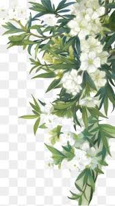 Pin On Free Watercolor Flower Png Images