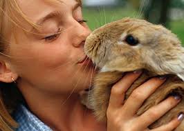 Children Helping Animals - Peninsula ...