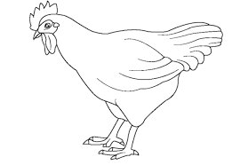 Vorlage von großen und kleinen sternen. Ausmalbilder Huhn Gratis Ausmalbild66 Ausmalen Ausmalbilder Bilder