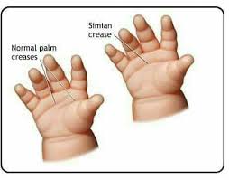 Ini juga hal yang mempertegas bahwa 7 hari setelah kematian menurut islam tidak terjadi hal yang di sangkakan kebanyakan kita, yaitu mengunjungi kerabatnya dll. Rahsia Terkini Rahsia Tapak Tangan Wanita Mengikut Islam