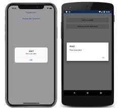 Xamarin Forms Pop Ups Tutorial Xamarin Microsoft Docs