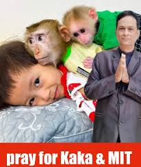 Pray for Kaka and Mit for their safe return to human parents. I can say  miss u kaka 😍😍😍