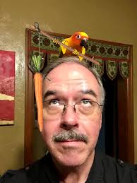 Found a stick bird in the bread