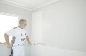Die kosten für die renovierung hängen vom gesamtzustand der wohnung und deren größe ab. Wande Richtig Streichen Anleitung Video Toom Baumarkt