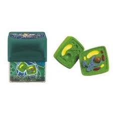 Maybe you would like to learn more about one of these? Plant Animal Cell Model Activity Set On Popscreen