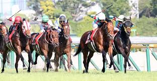 東京のスポットを探すならretripで。 このページには「東京」 に関する14,026件のまとめ記事、208,345件のスポットが掲載されています。 「東京」 に関するスポットをランキングやおすすめ順でご覧いただけます。 J383xute46yzwm