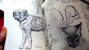 The artist's guide to drawing animals : Best Books For Learning To Draw Animals Youtube
