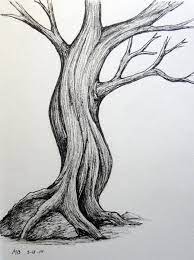 See more ideas about tree drawing, tree drawing simple, tree. Pin By John Davison On 0 Biologia Ciencia Tree Drawings Pencil Tree Art Tree Drawing