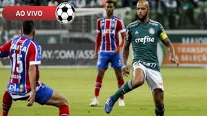 bahia x palmeiras ao vivo saiba como assistir online e palmeiras ao vivo bahia palmeiras