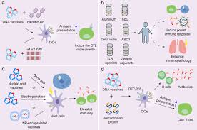 Covid variant names have recently been changed by the world health organization (who).what used to go by the indian variant, due to where the iota first reared its head in november in the us city of new york, which had been hard hit by covid. A Systematic Review Of Sars Cov 2 Vaccine Candidates Signal Transduction And Targeted Therapy