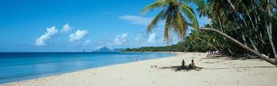 Just look for the 'free cancellation' message during your hotel search.prices can vary, but right now we believe that flexibility matters. Lander Info Martinique Oamtc