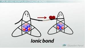 Fond The Ionic Bond My Storybook