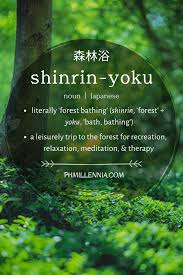 Shinrin Yoku The Japanese Healing Art Of Forest Bathing Phmillennia Forest Bathing Nature Quotes Inspirational Forest Quotes