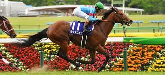 Nhkマイルカップ 競馬 nhkマイルカップ 競馬 nhkマイルカップ 競馬 nhkマイルカップ 競馬 nhkマイルカップ 競馬 nhkマイルカップ 競馬 nhkマイルカップ 競馬. Fiulomqxwqy3hm