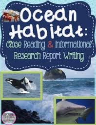 Animal Research Project With Report Template Ocean Habitat Informational Reading Passages Report Writing