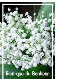 Cartes virtuelles gratuites 1er mai et cartes papier muguet au choix. Muguet 1er Mai