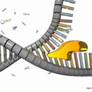 Cells Can Replicate Their DNA Precisely | Learn Science at Scitable