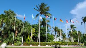 Beautiful Sol Palmeras