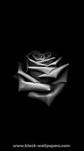 Check spelling or type a new query. Pin On Black Wallpapers