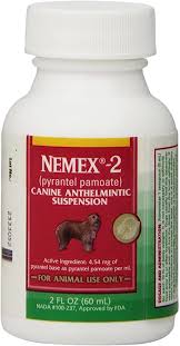 What wormers are safe for pregnant dogs? Amazon Com Nemex 2 Wormer 2oz Pet Wormers Pet Supplies
