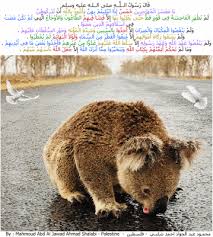العزة لله جميعا حديث خمسة اذا ابتليتم بهن محمود شلبي Brown Bear Animals Islamic Page