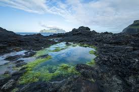 Zudem besteht während der sommermonate eine wöchentliche verbindung von island auf die färöer inseln. Galerie Danemark Faroer Natur Photocamp