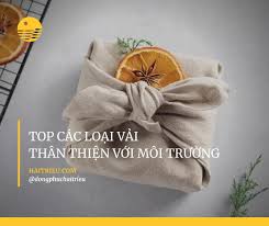 Top 7 Loại Vải Thân Thiện Với Môi Trường - Chất Liệu Xanh, Bền Vững » Hải  Triều