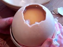 Ostrich eggs normally have 4mm thick shells, and cooks are advised to open them with a hammer. How To Fry An Ostrich Egg