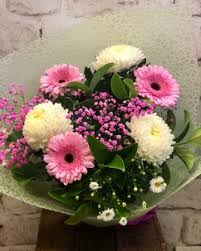 Chrysanthemums are the iconic symbol of mothers day. Mothers Day Flower Delivery In Newcastle Chrysanthemums