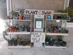 Image result for Ixora mildbraedii