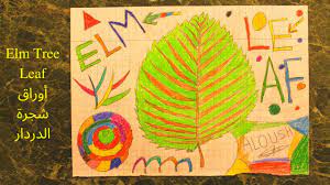 how to draw the elm tree leaf كيفية رسم أوراق شجرة الدردار colored pens elm tree tree