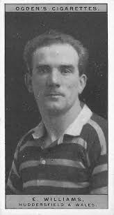 Edwin Williams (rugby)