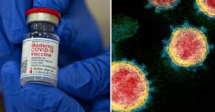 Le varanti inglese e brasiliana fanno paura, dai casi di bollate a quelli di perugia. Varianti L Infettivologo Antonio Cassone Temo L Evoluzione Del Virus Contagi Alti E Vaccini In Ritardo Favoriscono Le Mutazioni Il Fatto Quotidiano