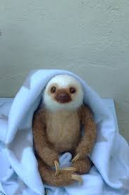 Who Doesnt Want A Baby Sloth Well Thank Gee They Are Protected But You Can Have One This Life Like Life Size Need Cute Baby Sloths Cute Sloth Baby Sloth
