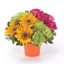 Maybe you would like to learn more about one of these? Blossom Flowers Sweets Local El Paso Tx Flower Shop Fresh Flower Delivery