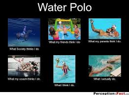 water polo what people think i do what i really do perception vs fact water polo water polo girls water polo players