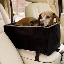 Snoozer Pet Products Luxury Microfiber Console Dog Cat Car Seat Anthracite Large Chewy Com Pet Car Seat Dog Car Seats Pet Car