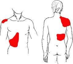 Pin On Health Help