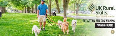 Последние твиты от a3 house & pet sitting nationwide uk (@ambercontact). Dog Walking Business Pet Sitter Pet Sitting Insurance Narps Uk